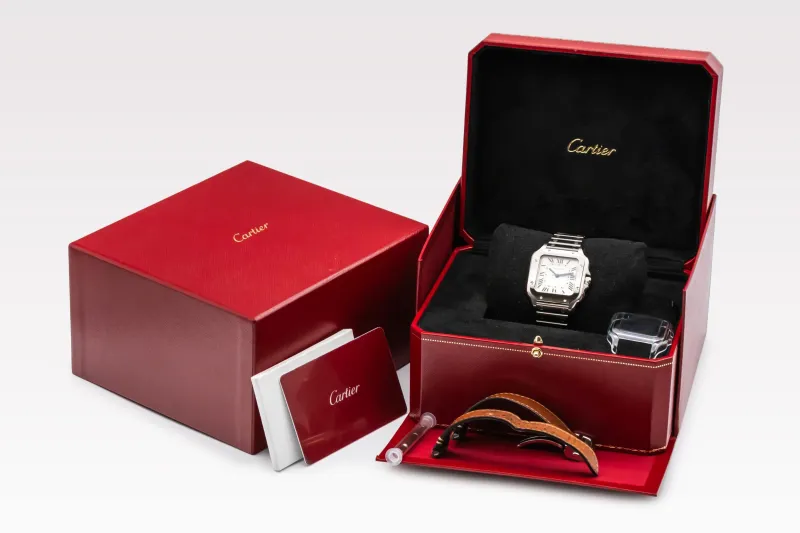 Cartier Santos 100 35mm x 41mm Stainless Steel WSSA0029 2021
