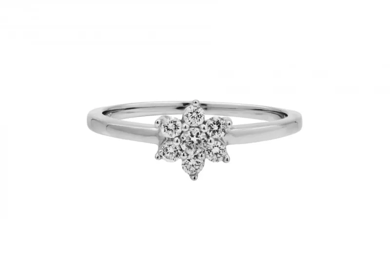 9ct White Gold Diamond Flower Set Ring 0.30ct