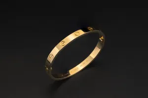 Cartier Classic LOVE Bracelet 18ct Yellow Gold Size 17 6.1mm 33.5g – With Authentic Box
