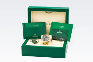 Rolex Sky-Dweller 42mm 18ct Yellow Gold Oyster 326938 2022